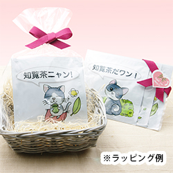 ������I���W�i�����b�s���O�C���[�W