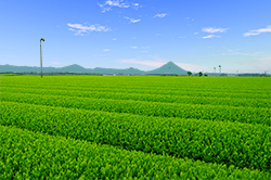 ������m����