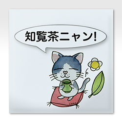 �͂����l�R