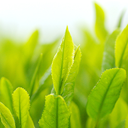 ��Ԓ��̃C���[�W