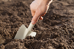 �y�Â���C���[�W