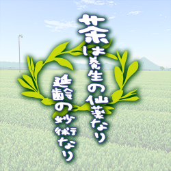 �{���̐咃�Ȃ�